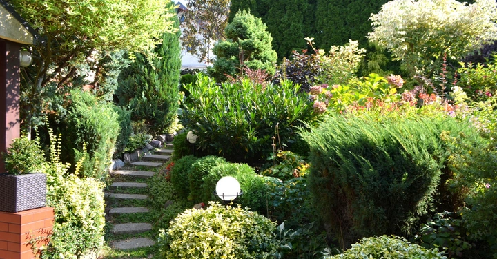 Steinstufenweg schlängelt sich durch einen üppigen Garten voller verschiedener Sträucher und Bäume im Sommerlicht