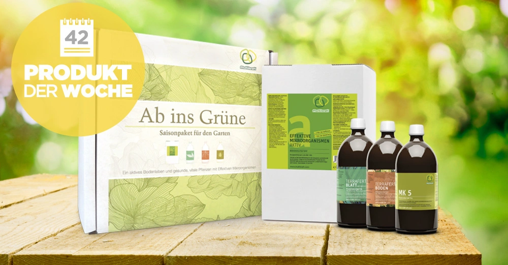 Kartons und Flaschen stehend auf Holztisch vor verschwommenem grünen Hintergrund Text auf Karton Ab ins Grüne Saisonpaket für den Garten Text auf gelber Blase 42 PRODUKT DER WOCHE Flaschenetiketten: "TERRA", "TERRA", "MK 5"