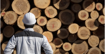Person mit Schutzhelm steht vor gestapelten Baumstämmen als Symbol für nachhaltige Baustoffe wie Holz
