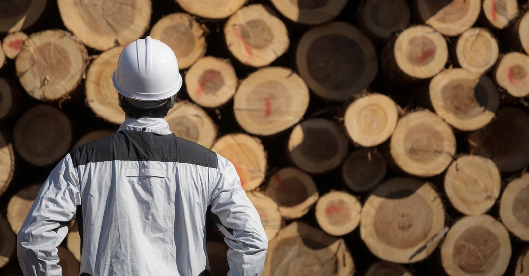 Person mit Schutzhelm steht vor gestapelten Baumstämmen als Symbol für nachhaltige Baustoffe wie Holz