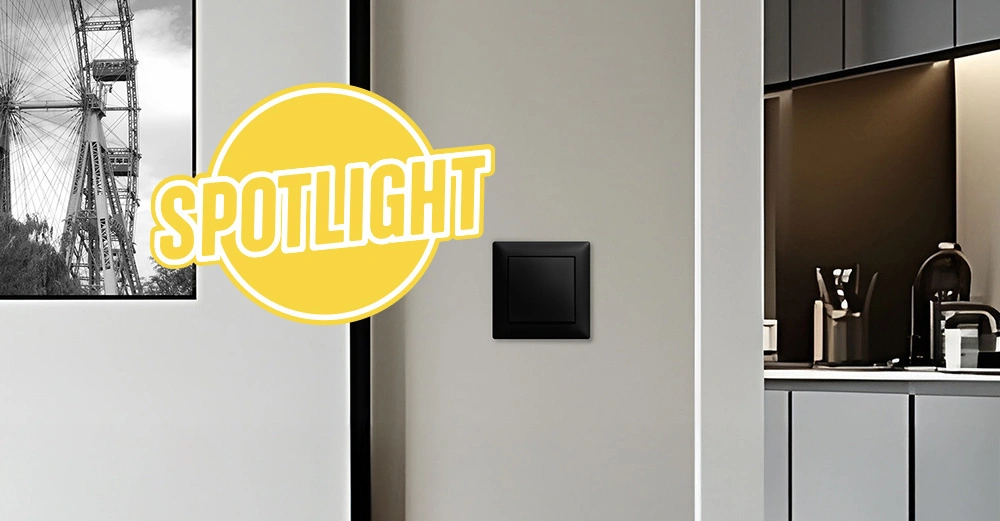 Spotlight_Intro Kopie.jpg