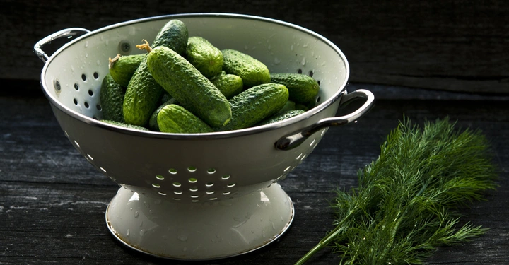 Ein metallisches Sieb hält mehrere frische Gurken, liegend auf einem dunklen Holztisch. Neben dem Sieb liegen einige Zweige Dill auf dem Tisch.