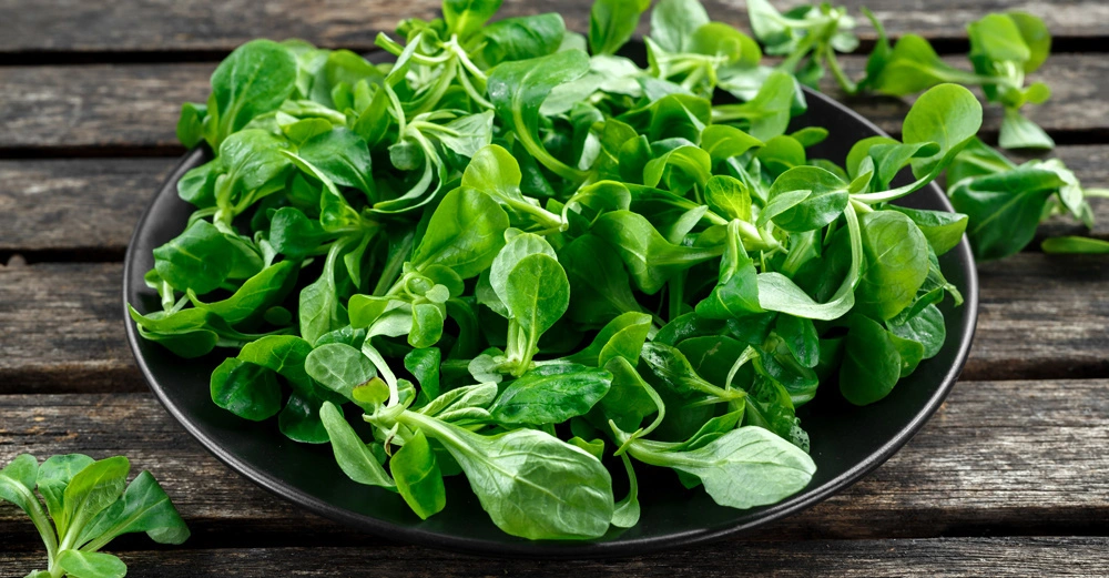 Eine Schale mit frischem grünem Feldsalat liegt auf einem rustikalen Holztisch. Einige Salatblätter sind lose um die Schale verteilt.