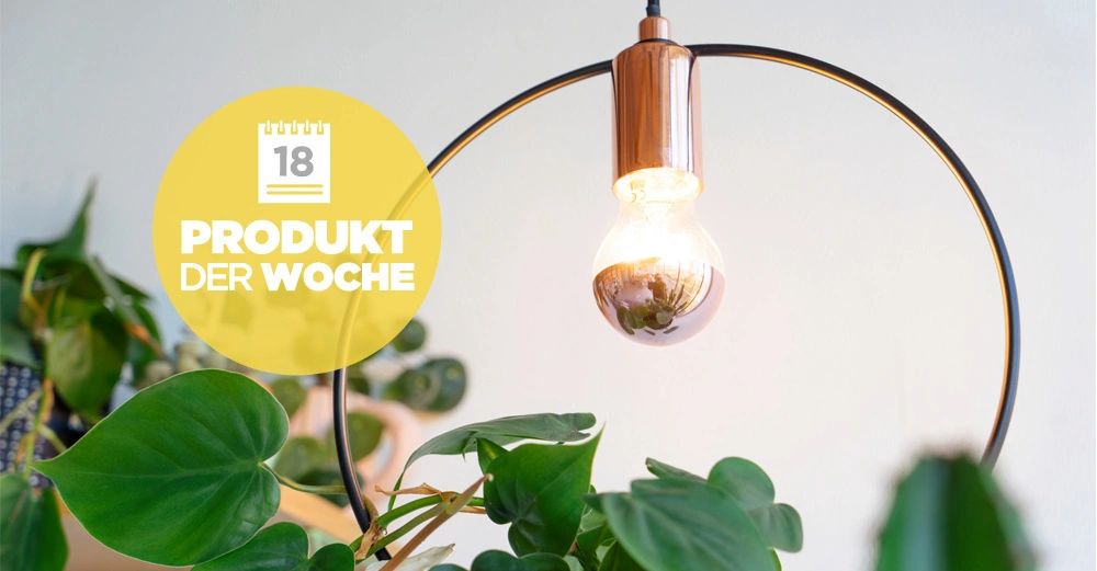 Glühbirne leuchtet innerhalb eines metallischen Rings über grünen Zimmerpflanzen. Im gelben Kreis steht Text 18 PRODUKT DER WOCHE.