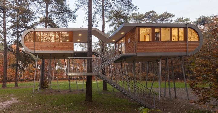 Galerie-Bild 1: Baumhaus steht auf hohen Stelzen mitten im Wald mit Wendeltreppe in der Mitte umgeben von herbstlichen Bäumen und grünem Boden im Abendlicht.