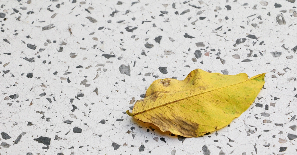 Ein gelbes Blatt liegt auf einem weißen Terrazzoboden mit grauen und schwarzen Einlassungen, auf dem bereits erste Risse und Schäden zu sehen sind.