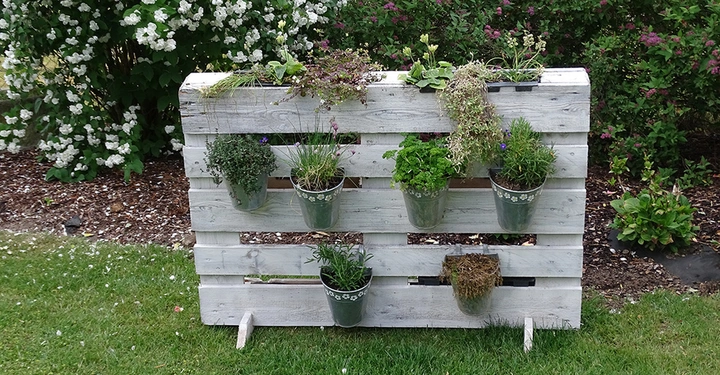 Holzpalette aus hellem Holz mit Blumentöpfen die verschiedene Pflanzen enthalten stehend auf grüner Wiese im Garten umgeben von blühenden Sträuchern und Büschen