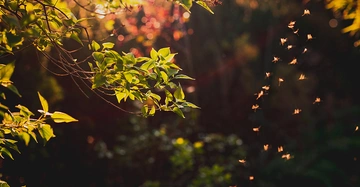 AdobeStock_288399044 Kopie.jpg