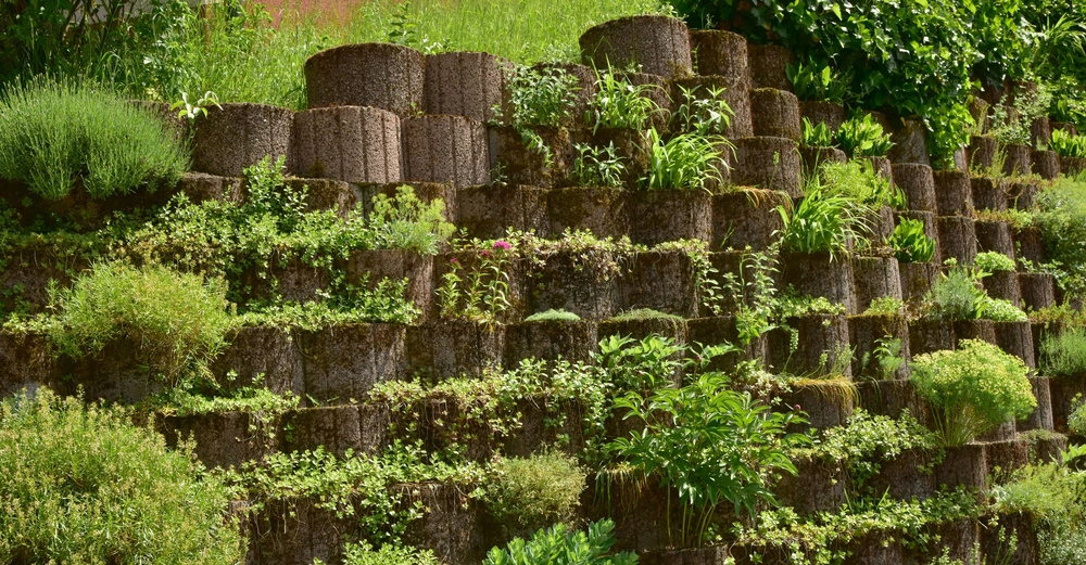 Mehrstufige Steinmauer mit vielen Pflanzen die aus den Lücken wachsen in einem üppigen Gartenbereich
