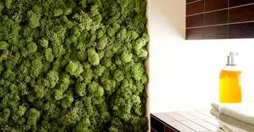 An der Wand wächst dichtes grünes Moos. Daneben befindet sich eine dunkle Fliesenfläche mit einem Stapel Handtücher und einer durchsichtigen Seifenspenderflasche mit orangefarbener Flüssigkeit.