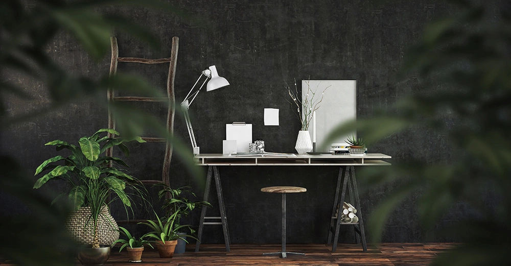 Zimmerpflanzen für Räume ohne viel Tageslicht, Schattenpflanzen.