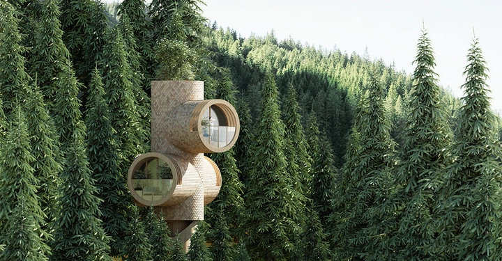 Galerie-Bild 1: Bert_by_Precht_05b_1000.jpg