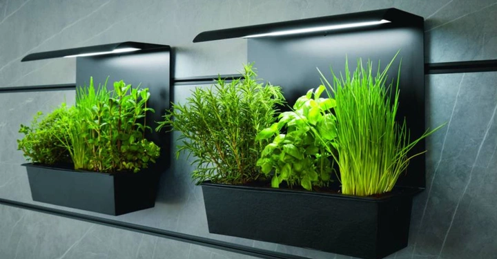 Pflanzen wachsen in zwei schwarzen Wandpflanzgefäßen mit LED-Beleuchtung in einem modernen Innenraum mit dunkelgrauen Wänden.