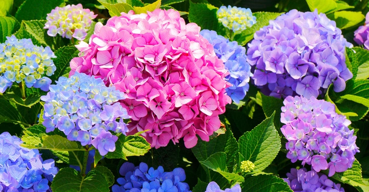 Galerie-Bild 2: AdobeStock_67830363.jpg