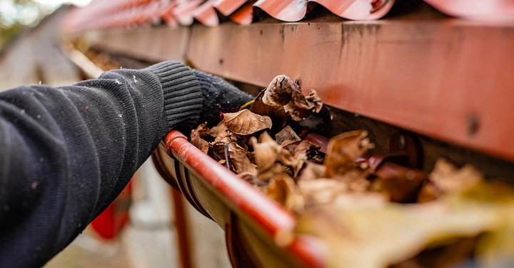 Hand mit schwarzem Handschuh entfernt Laub und Schmutz aus einer verstopften, roten Dachrinne.