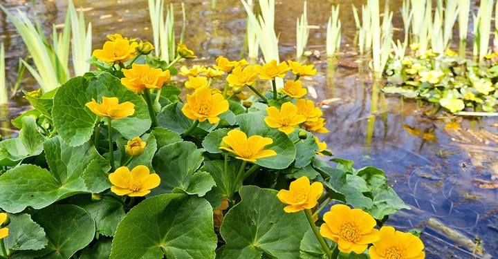 AdobeStock_103108556 Kopie.jpg