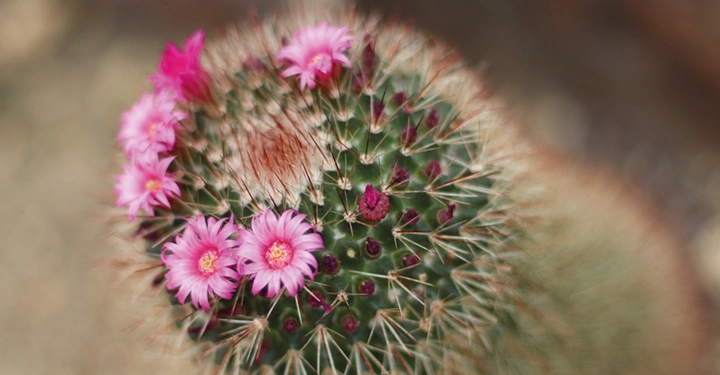 Galerie-Bild 6: AdobeStock_905657834.jpg