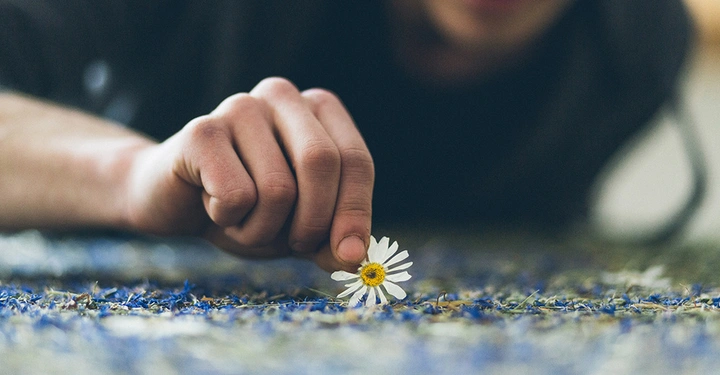 Galerie-Bild 1: dl_organoid_corporate_image_02_west_0163_1000.jpg