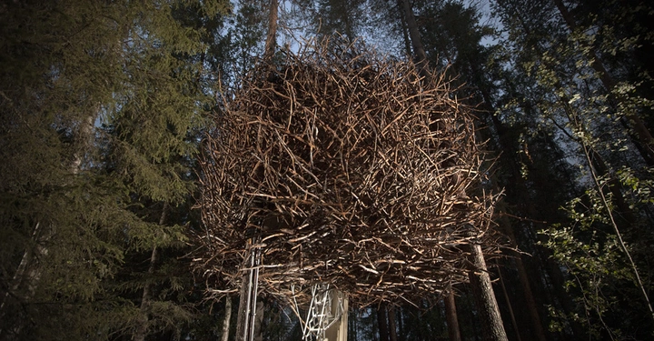 Galerie-Bild 7: Ein großes künstliches Nest aus Ästen hängt in den Bäumen eines dichten Waldes. Darunter befindet sich eine Leiter, die den Zugang zum Inneren ermöglicht.