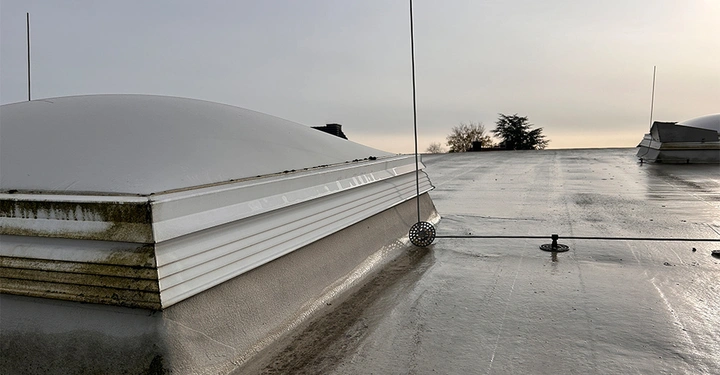 Galerie-Bild 10: Triflex_25 Jahre ProDetail_01 Kopie.jpg