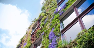 Grüner Gebäudewand bewachsen mit farbenfrohen Pflanzen und Blumen ragen aus Fenstern Himmel mit Wolken im Hintergrund