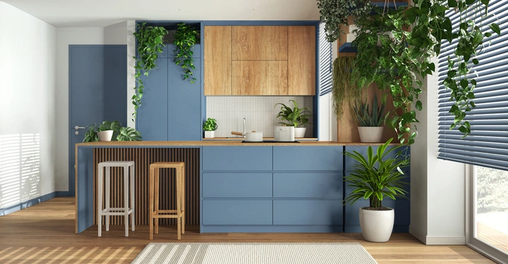 Moderne Küche mit graublauen Fronten, dazu einzelne Elemente aus naturbelassenem Holz und einer großen Hängepflanze, die den gesamten rechten Bereich der Küche einnimmt. 