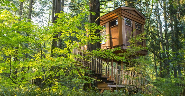 Galerie-Bild 3: Baumhaus auf Holzplattform zu einem massiven Baum gebaut Mit einer Wendeltreppe zugänglich Umgeben von dichtem grünen Wald im Sonnenlicht