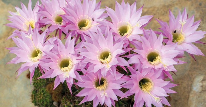 Galerie-Bild 8: AdobeStock_1058495698.jpg