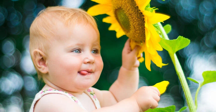 Ein Baby greift nach einer großen Sonnenblume in einem Garten mit verschwommenem Hintergrund aus grünen Blättern und Bäumen.