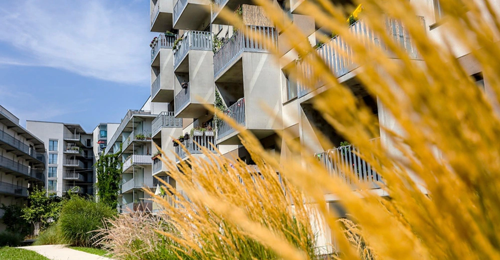 Hochhäuser stehen nebeneinander Wiesen und Gras im Vordergrund bei sonnigem Wetter blauer Himmel und wenige Wolken im Hintergrund.
