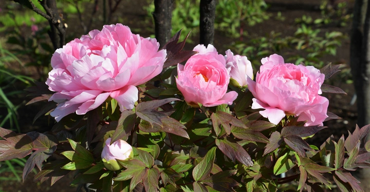 Galerie-Bild 1: AdobeStock_200976907.jpg