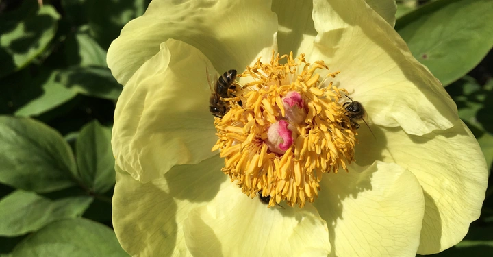 Galerie-Bild 5: AdobeStock_145915061.jpg