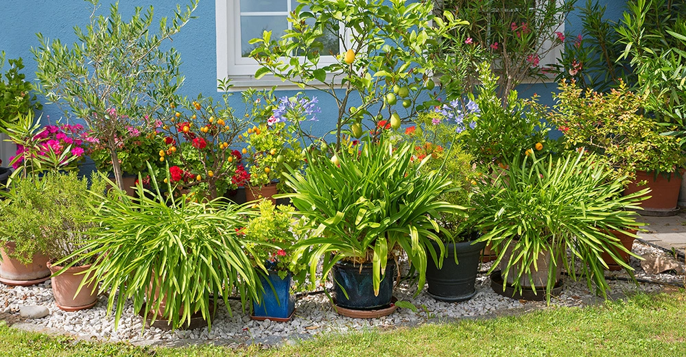 AdobeStock_264230232 Kopie.jpg