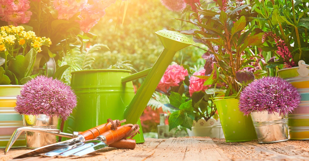 Grüne Gießkanne steht zwischen blühenden Pflanzen und verschiedenen Gärtnereiwerkzeugen auf einem Holztisch bei hellem Sonnenlicht in einem blühenden Garten.