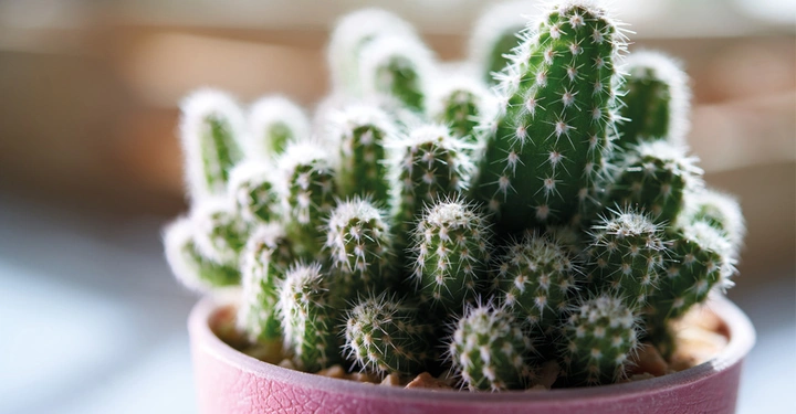 Galerie-Bild 2: AdobeStock_290945399.jpg