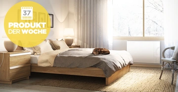 Holzbett mit grauer Bettwäsche darauf schlafender Katze daneben Nachttischlampe gerahmte Bilder an der Wand sonnendurchflutetes Schlafzimmer mit großem Fenster Text 37 PRODUKT DER WOCHE