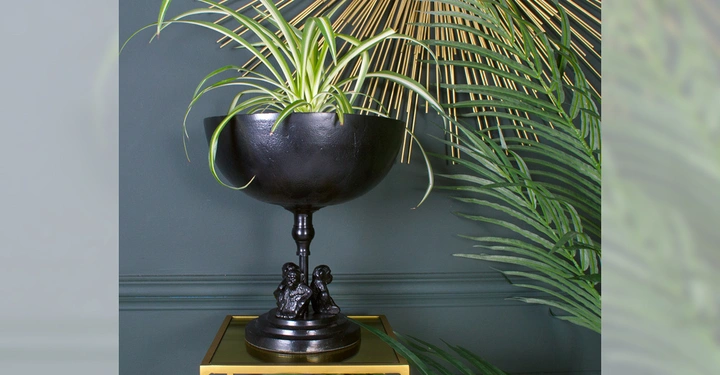 Galerie-Bild 7: Schwarzer Pokal mit Pflanze steht auf goldenem Tisch in modernem Raum; hinter ihm ist eine goldene Sonnenstrahlen-Deko und grüne, große Pflanzenblätter.