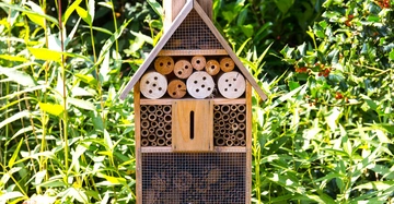 Holzinsektenhotel mit verschiedenen Füllmaterialien steht inmitten hoher grüner Pflanzen im Tageslicht.