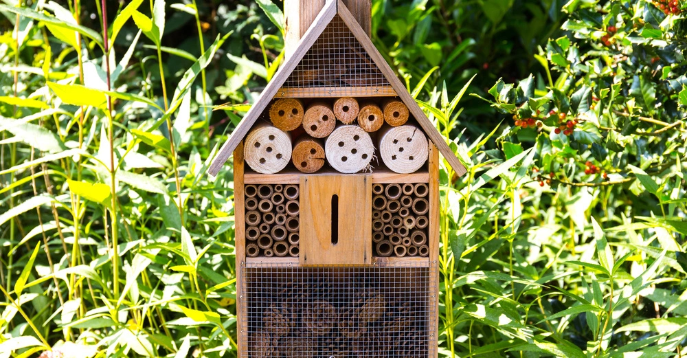 Holzinsektenhotel mit verschiedenen Füllmaterialien steht inmitten hoher grüner Pflanzen im Tageslicht.