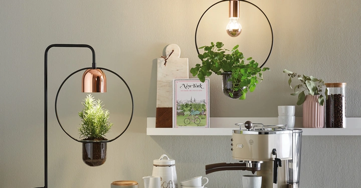 Pflanze und Lampe auf schwarzem Gestell stehen auf einem Tisch. Auf einem weißen Regal dahinter befinden sich weitere Pflanzen, eine Kaffeemaschine, Tassen und das Buch New York Rezepte für jede Jahreszeit.