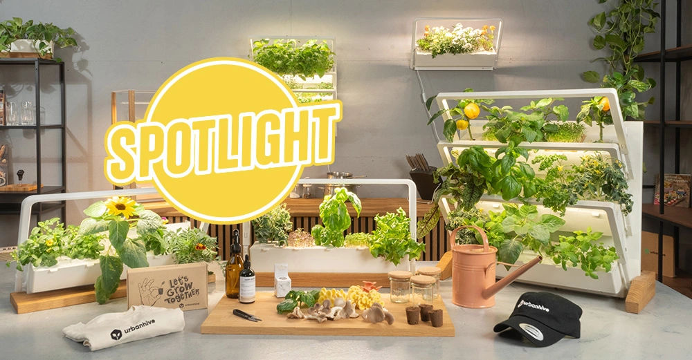 Spotlight_Intro Kopie.jpg