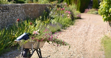 Schubkarre transportiert blühende Pflanzen und eine Gießkanne entlang eines Gartenwegs mit gepflasterter Mauer links und blühenden Sträuchern rechts im sonnigen Garten.