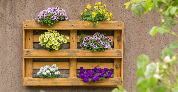 Regal aus Holzpaletten mit blühenden Blumen in gelb lila und weiß an einer braunen Wand hängend im Freien grüne Blätter im Vordergrund.