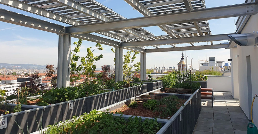 Metallgerüst tragend Pflanzkästen grünem Gemüse und Pflanzen unter freiem Himmel auf einem Dachgarten in einer Stadtumgebung im Hintergrund Gebäude und klare Himmel sichtbar Schilder an den Kästen: 10 11 12 13 14