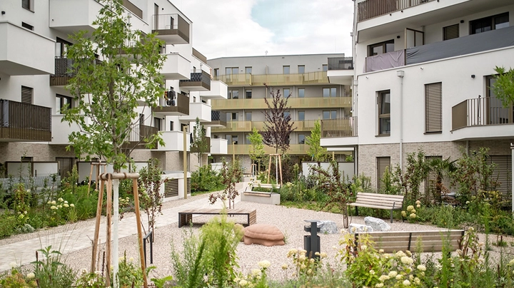 Galerie-Bild 3: Außenaufnahme vom Neubauprojekt Hirschfeld Bauplatz 2