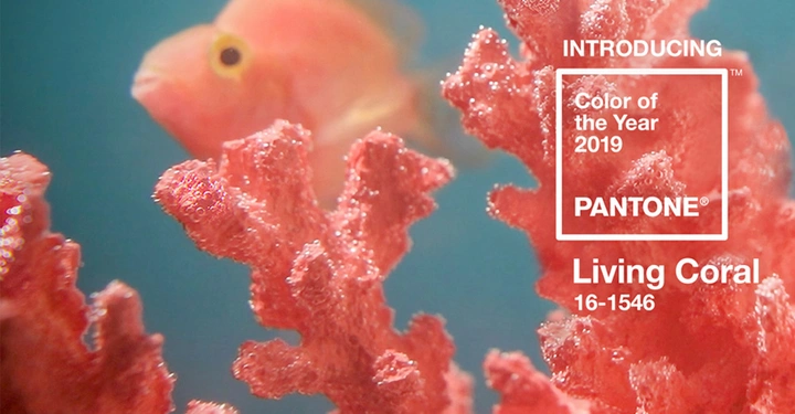 Galerie-Bild 8: Ein Fisch schwimmt in einem Korallenriff im Ozean. Text: INTRODUCING Color of the Year 2019 PANTONE Living Coral 16-1546.
