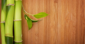 Grüne Bambusstangen wachsen mit Blättern an einem braunen Holzhintergrund.