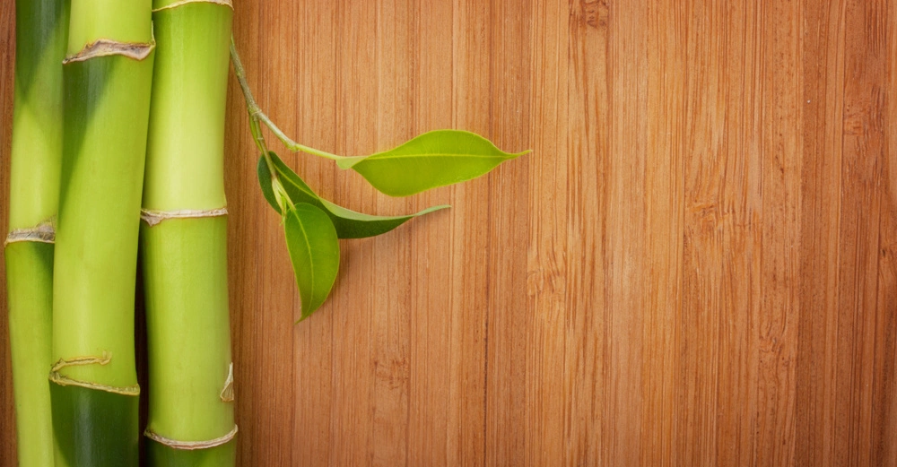 Grüne Bambusstangen wachsen mit Blättern an einem braunen Holzhintergrund.