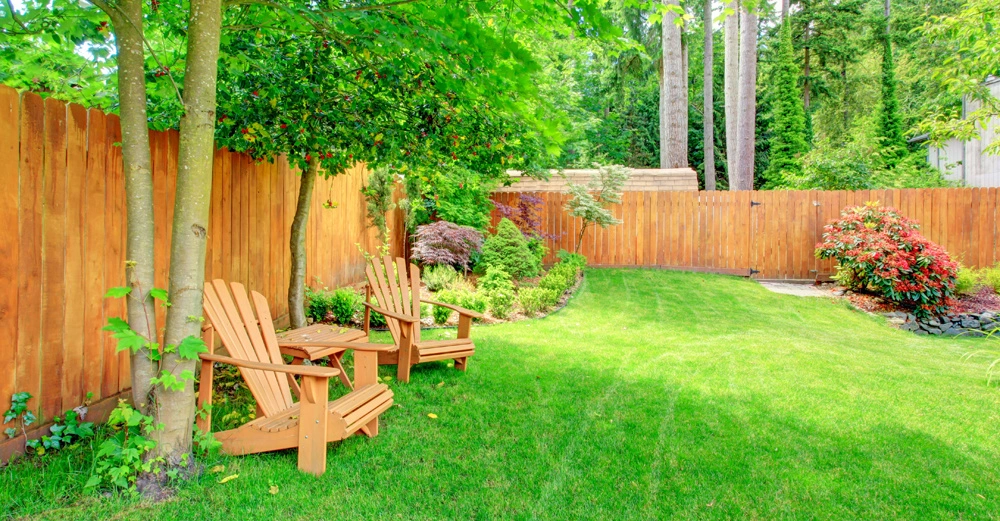 Holzstühle stehen ruhig unter einem Baum im gepflegten Garten mit grünem Rasen und umgeben von einem Holzzaun und dichter Vegetation im Hintergrund.