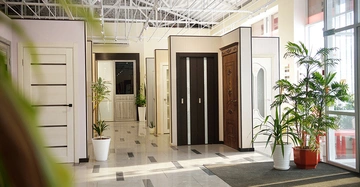 heller freundlicher Verkaufsraum von Innentüren mit großen Pflanzen, viel Licht und schönen modernen Türen